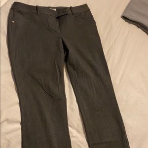 Gray white house black market dress pants